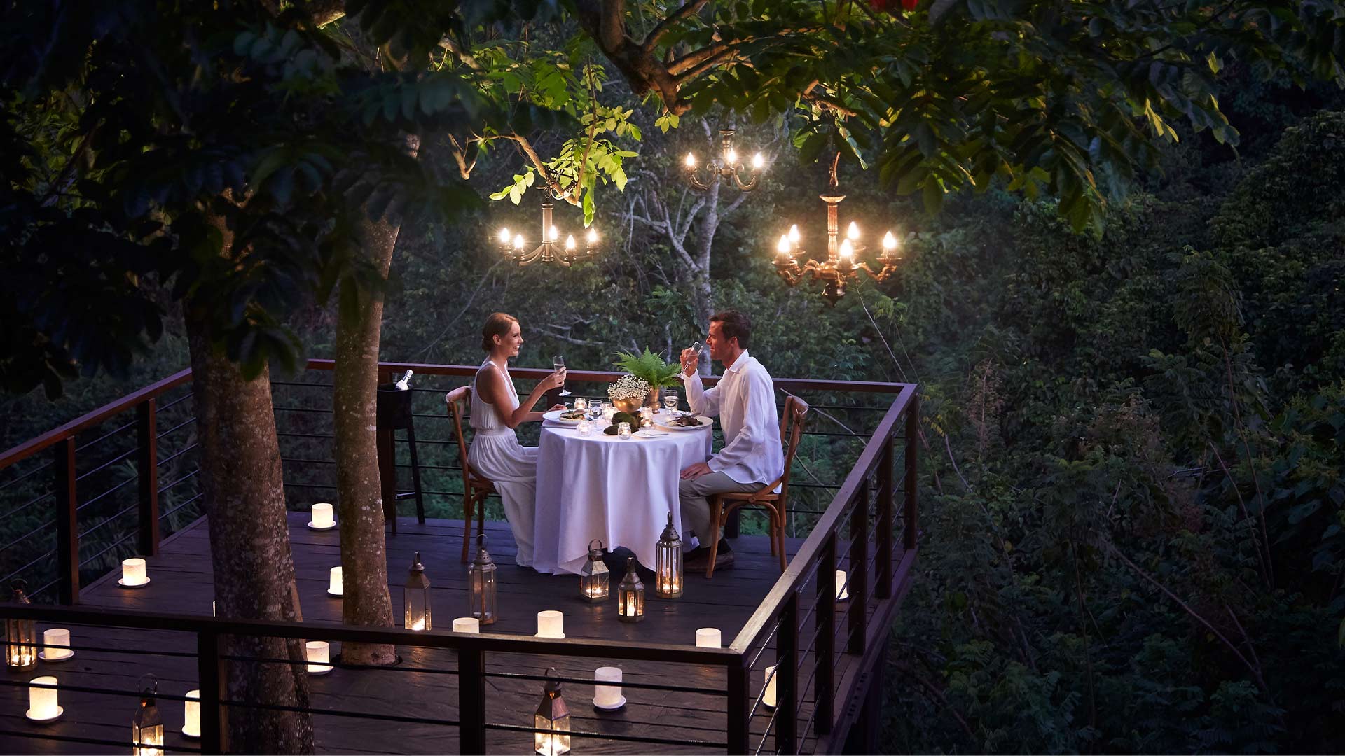 Dinner Above the Forest