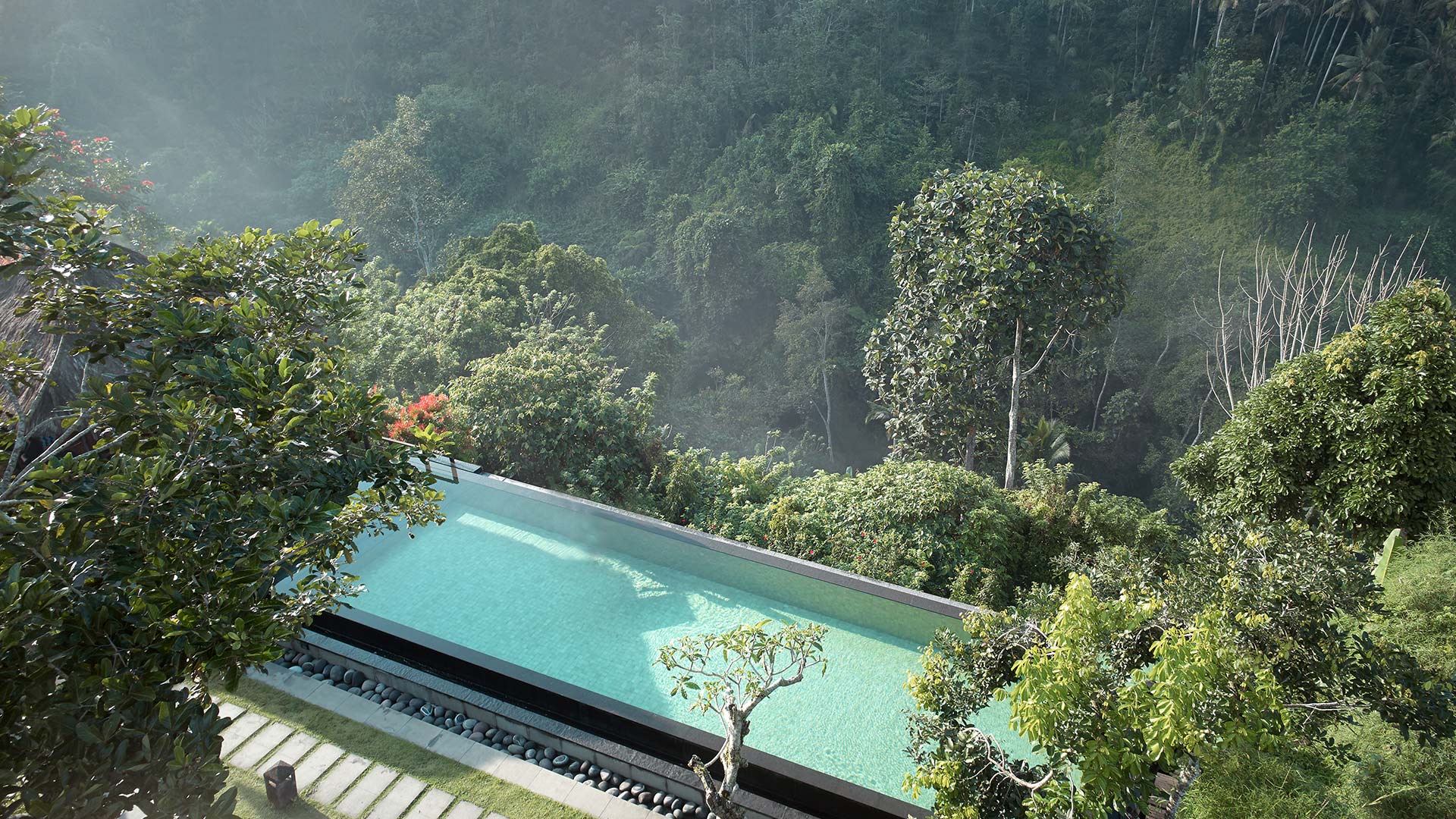 Infinity Pool Day Pass Ubud