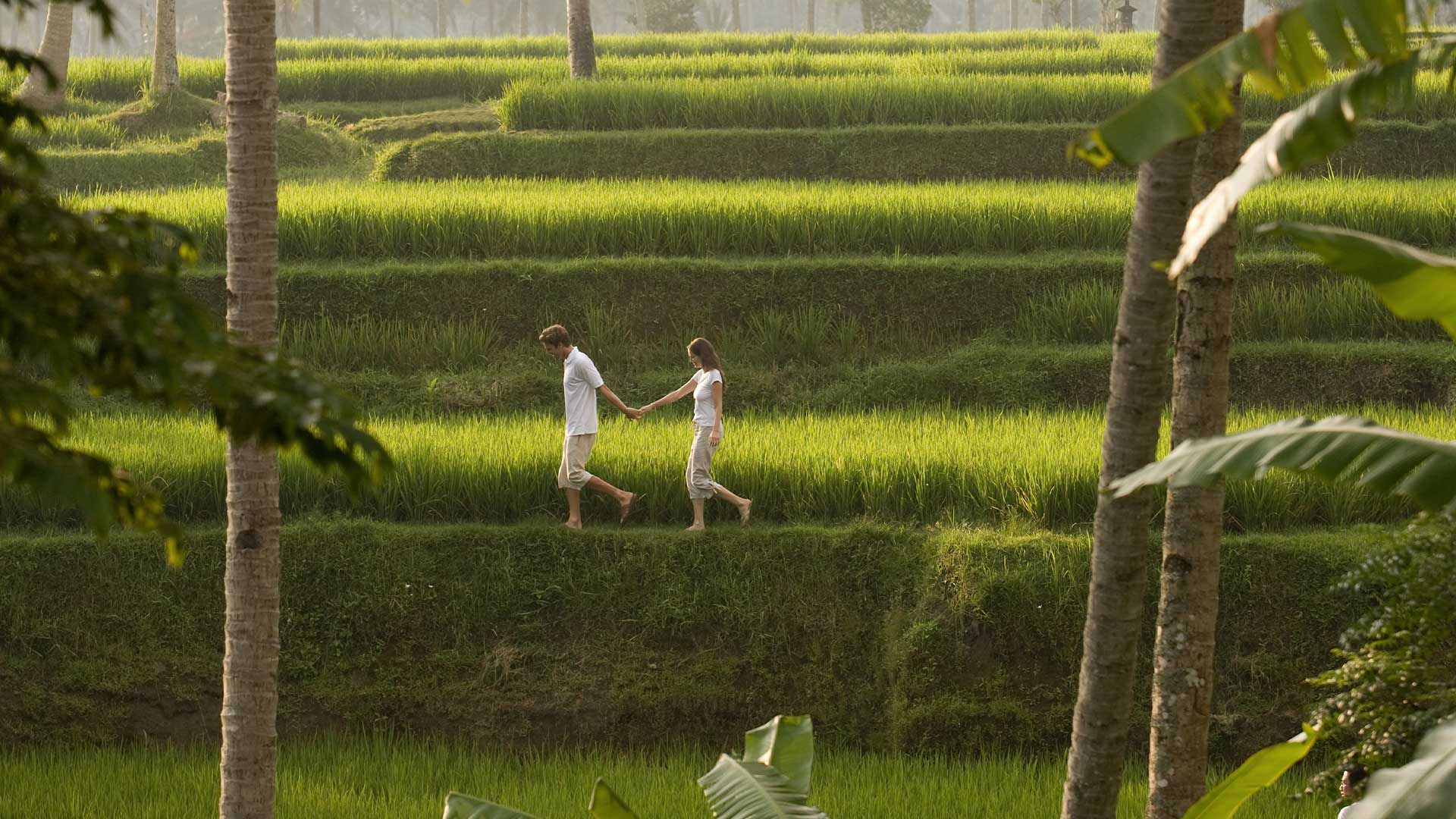 Private Guided Trekking Ubud