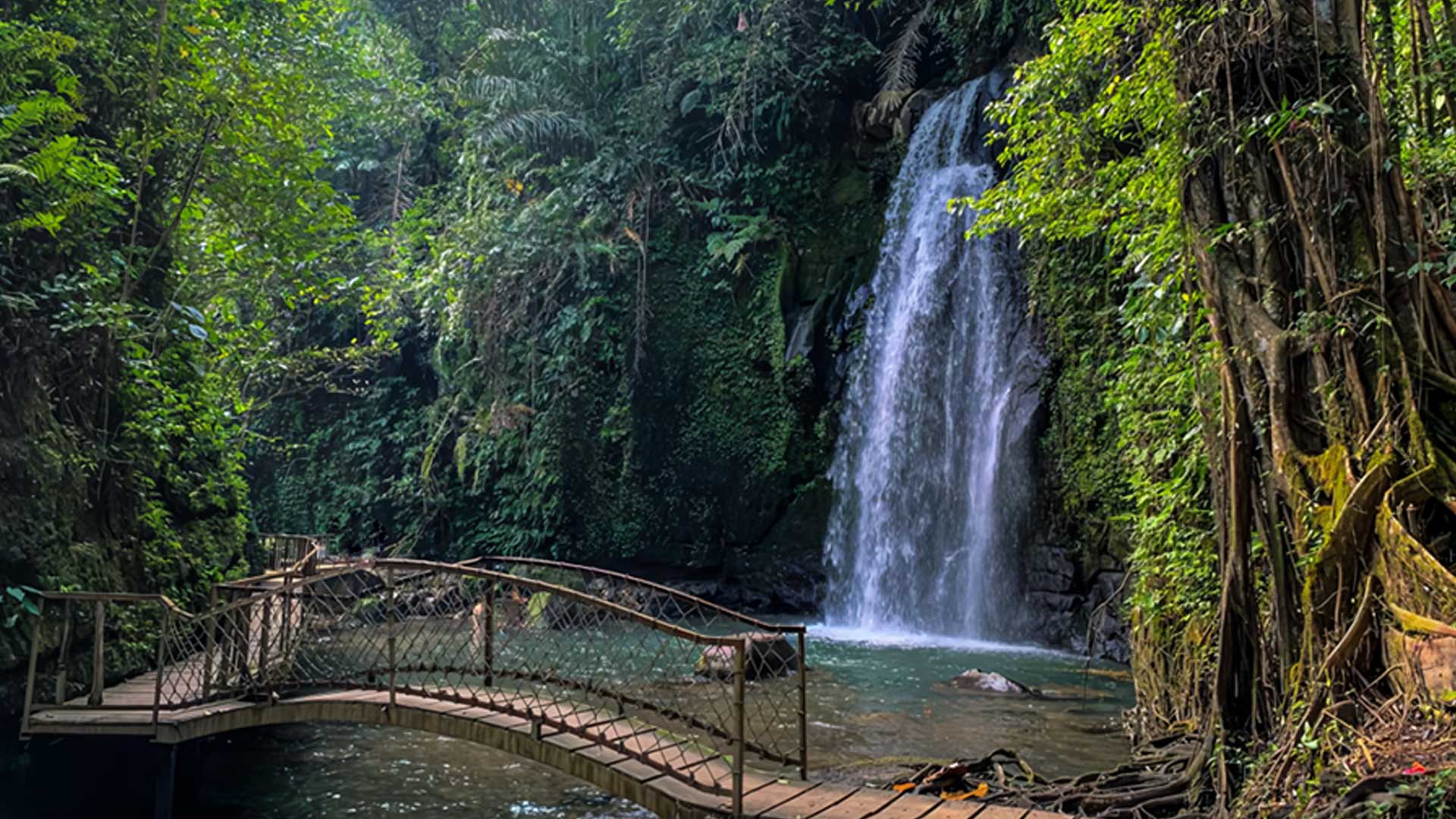 Private Waterfall Tour Ubud