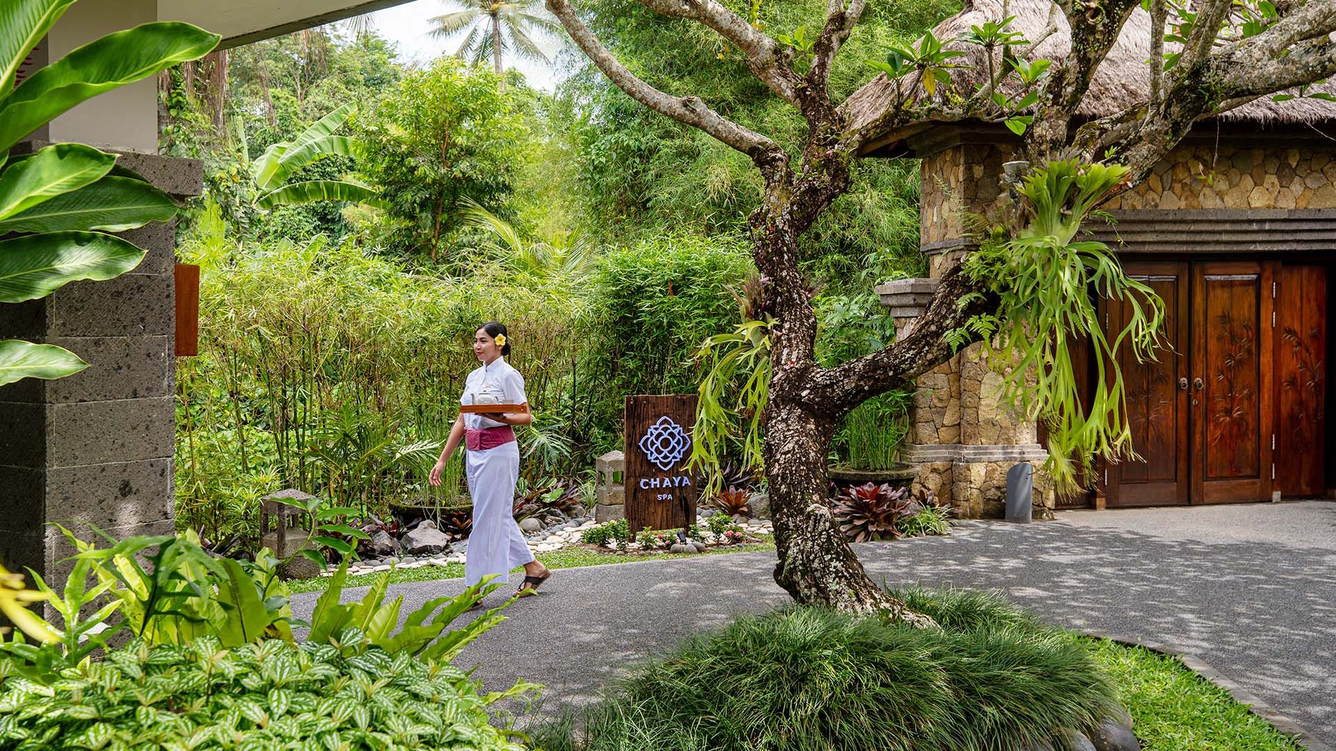 Signature Treatments